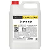 Профхим антисептик универс д/дезинф рук-поверх Pro-Brite/Septa-Gel, 5л